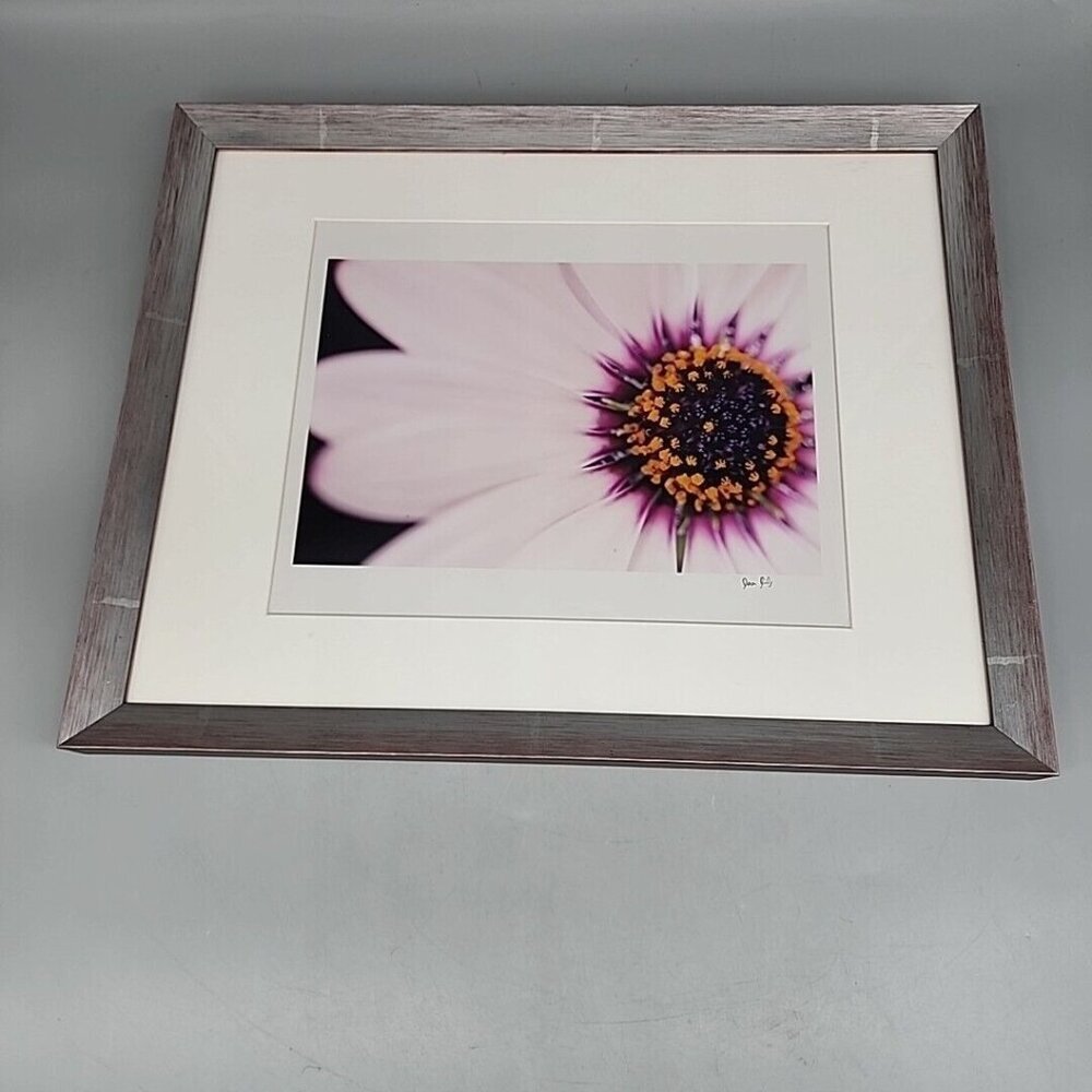 Professionally Frame Flower Photograph Signed Pink Silver 12x15"